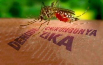 Врага надо знать в лицо. В США конгрессмен принес на заседание комаров с вирусом Зика