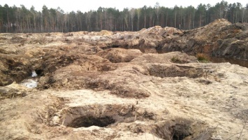 Пограничники обнаружили новые незаконные разработки янтаря в Ровенской области