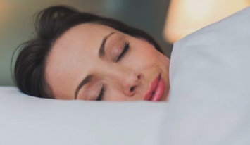 Спать и учиться - ученые изучили принцип сна