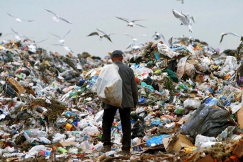 Львовский мусор: политический пиар или «живые» деньги