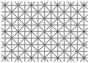 Оптическая иллюзия: попробуйте с одного взгляда рассмотреть 12 точек на картинке