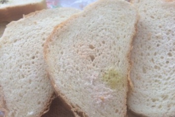 В Одессе свежекупленный хлеб "цветет" розовой и зеленой плесенью (ФОТО)