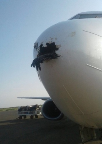 В Судане самолет совершил экстренную посадку после столкновения с орлом