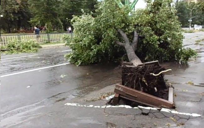 Ураган в Луганске повредил линии электропередач