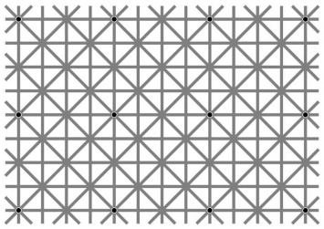 Оптическая иллюзия из 12 черных точек взорвала интернет