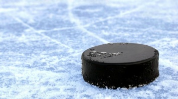 Чешский хоккейный арбитр скончался после попадания шайбы в голову