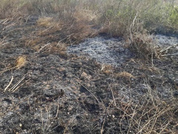 В трех областях Украины горят торфяники на общей площади в 11,68 га, - ГосЧС
