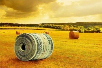 Николаевские сельхозпроизводители смогут весной пользоваться аграрными расписками