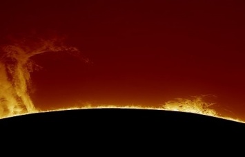 В Сети появилось фото гигантского протуберанца на Солнце