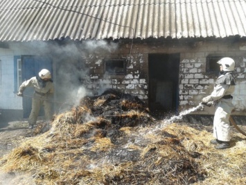 Из-за неосторожного обращения с огнем в Одесской области сгорело 14 тонн урожая