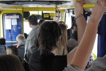 В Мариуполе водитель, из автобуса которого выпал пассажир, заплатит штраф