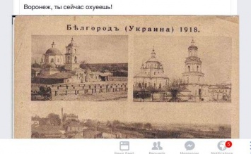 Пользователи соцсетей упрекнули в неразборчивости страничку первого лица Луганской области