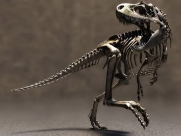 Сибирские ученые обнаружили останки нового вида динозавра