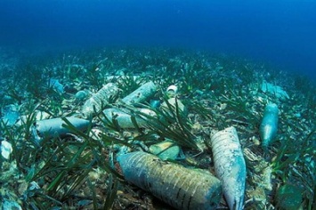 Ученые: К 2050 году пластика в океане будет больше, чем рыбы