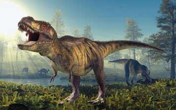 В Сибири ученые в ходе раскопок обнаружили кости до сих пор неизвестного вида динозавров