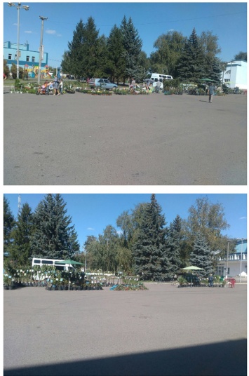 В Долгинцевском районе открылась «Зеленая ярмарка» (фото)