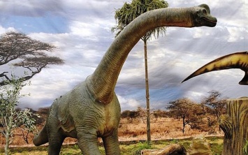 Новый вид динозавров нашли археологи в Сибири