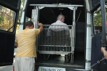 Благое дело в Одессе: где коляске не пройти - довезет «Инватакси» (фото)