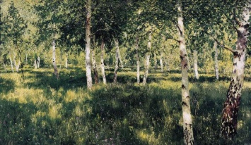 В России вырубили легендарные леса - у сына Медведева аллергия на березки
