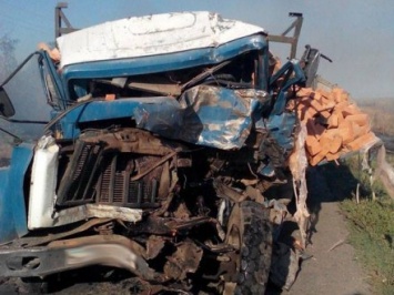 Четыре автомобиля столкнулись в Запорожской области, один водитель погиб