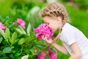 Ученые: Запахи помогают школьникам в успеваемости на уроках