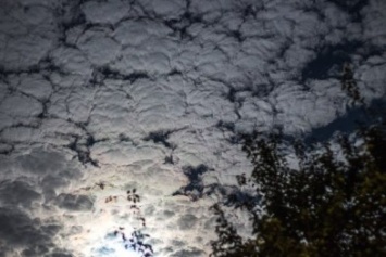 Фотофакт. Макеевчане наблюдали этой ночью необыкновенное небо