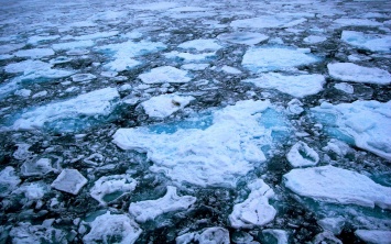Ученые: Площадь льда в Арктике достигла рекордного минимума