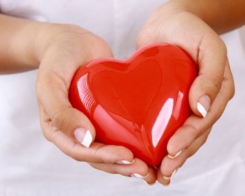 Ученым удалось совершить прорыв в лечении сердца