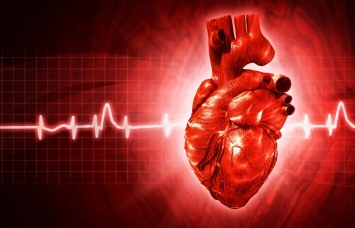 Шотландские ученые совершили прорыв в области лечения сердца