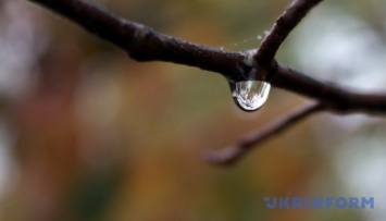 В Украине завтра прохладно, местами дожди и ливни