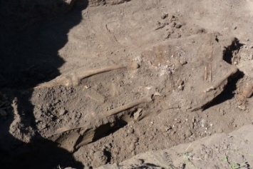 В Александрии нашли скелет с гранатой
