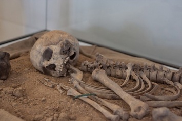 Археологи обнаружили в обломках Антикитерского корабля скелет, возрастом в две тысячи лет
