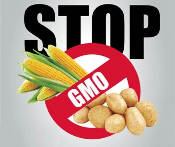 Ученые рассказали, как влияет ГМО на экологию