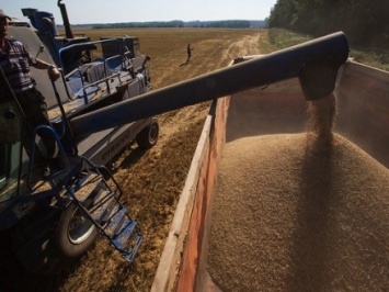 Экспорт зерновых культур превысил 3 млрд долл