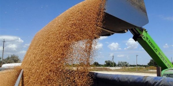 Экспорт зерна из России превысил 30 млн тонн
