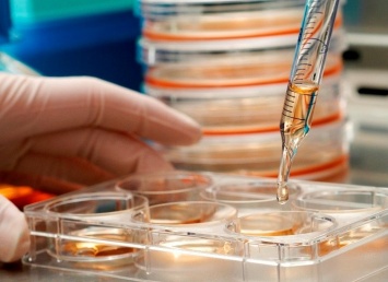 Ученые из России научились выращивать клетки для лечения ожогов