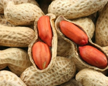Ученые: Кормление детей арахисом защищает от аллергии на него