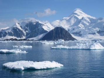Ученые выдвинули новую гипотезу происхождения водорослей в горах Антарктики