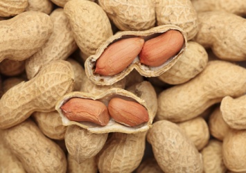 Употребление арахиса способно защитить от аллергии на этот продукт