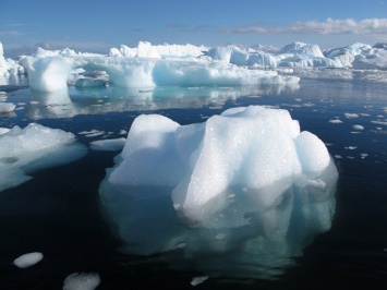 Ученые: Таяние льдов на Антарктиде привело к образованию водорослей