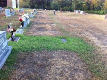 Родители не могли понять, почему трава на могиле их сына остается зеленой. Узнав причину, мать не смогла сдержать слез