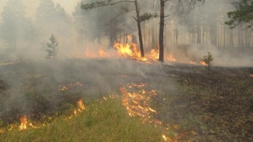 В Бурятии в Баргузинском и Северо-Байкальском районе ввели режим ЧС из-за лесных пожаров