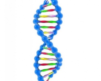 Ученые: Новая технология поможет выявлять двунитевые разрывы ДНК у растений