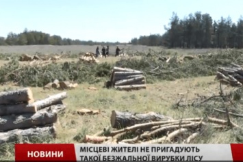На Херсонщине "патриоты" массово вырубают леса, заявляя, что так нужно для борьбы с Путиным