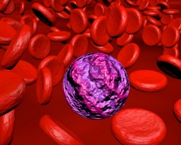 Ученые: Направленные против раковых стволовых клеток антитела помогут при остром миелоидном лейкозе