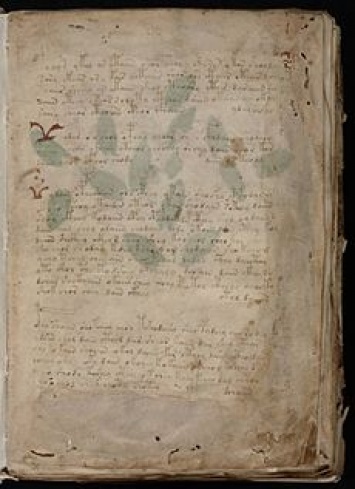 Таинственная рукопись Войнича может оказаться подделкой - ученые