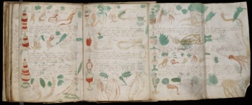Ученые: Средневековый манускрипт Войнича мог быть подделкой
