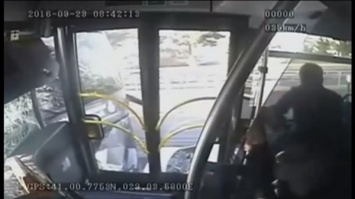 В Стамбуле автобус разбился из-за пассажира, ударившего водителя зонтом