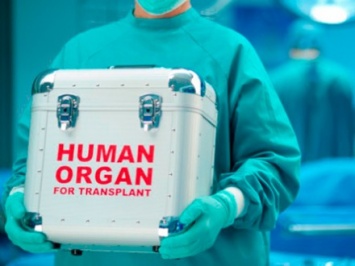 Средств на трансплантацию в проекте Госбюджета-2017 не предусмотрели - нардеп