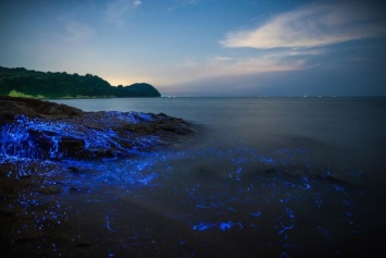 Волшебное свечение у берегов Японии. Сказочное зрелище!